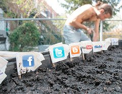 Blogs & social media